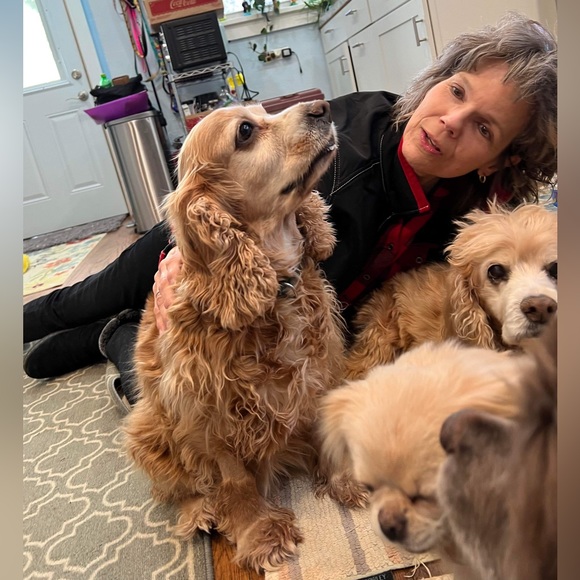 Meet your Posher, Amy - Picture 5 of 8